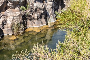 İsrail 'in kuzeyindeki Yehudia Ulusal Doğal Parkı' ndaki ağaçlar ve çalılarla çevrili kayalarla çevrili küçük bir göl.