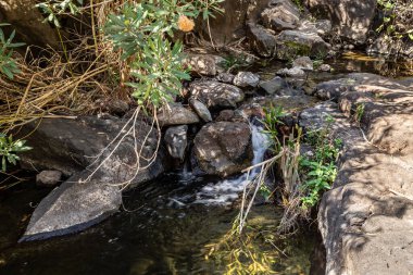 Zavitan deresi İsrail 'in kuzeyindeki Yehudia Ulusal Doğal Parkı' na akar.