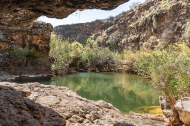 Mağaradan İsrail 'in kuzeyindeki Yehudia Ulusal Doğal Parkı' ndaki ağaçlar ve çalılarla çevrili küçük bir göle bakın.