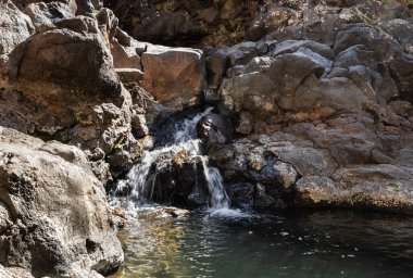 Zavitan deresindeki küçük şelale İsrail 'in kuzeyindeki Yehudia Ulusal Doğal Parkı' na akar.
