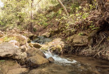 Amud deresi İsrail 'in kuzeyindeki Batı Celile' deki Nahal Amud Ulusal Doğal Parkı 'na akar.