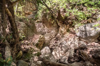 Kuzey İsrail 'deki Batı Celile' deki Nahal Amud Ulusal Doğal Parkı 'ndaki Amud Nehri' nin kuru yatağı.