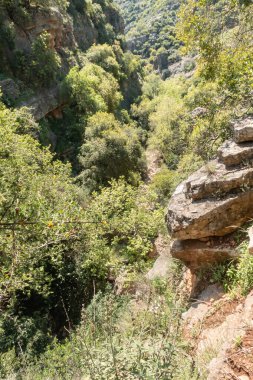 Kuzey İsrail 'deki Batı Celile' deki Nahal Amud Milli Parkı 'ndaki derin vadi.