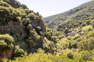 Kuzey İsrail 'deki Batı Celile' deki Nahal Amud Milli Parkı 'ndaki derin vadi.