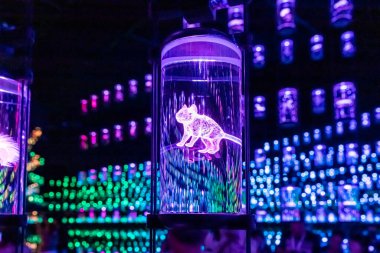 Dubai, Birleşik Arap Emirlikleri, 21 Mart 2023: Dubai 'deki Gelecek Müzesi, Birleşik Arap Emirlikleri' ndeki hayvan ve bitki dünyasının temsilcilerinin holografik kopyalarını içeren konteynırlar bankası