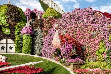 Dubai, Birleşik Arap Emirlikleri, 21 Mart 2023: Dubai 'deki botanik Dubai Mucize Bahçesi' nde üretilen büyük tavus kuşu, Birleşik Arap Emirlikleri