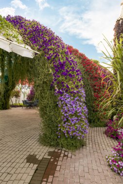 Dubai, Birleşik Arap Emirlikleri, 21 Mart 2023 Dubai, Birleşik Arap Emirlikleri: Dubai şehrinde farklı çiçek masalı temalarıyla dekoratif botanik Dubai Mucize Bahçesi