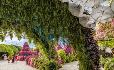 Dubai, Birleşik Arap Emirlikleri, 21 Mart 2023: Birleşik Arap Emirlikleri 'nin Dubai şehrindeki botanik Dubai Mucize Bahçesi bölgesinde şemsiye kaplı dekoratif sokak