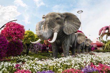 Dubai, Birleşik Arap Emirlikleri, 21 Mart 2023: Dubai 'deki botanik Dubai Mucize Bahçesi' nde, Birleşik Arap Emirlikleri
