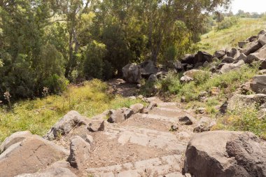 Kuzey İsrail 'deki Kuzey Celile' de bulunan El Al Ulusal Doğa Rezervi 'ndeki El Al deresine giden taş adımlar.
