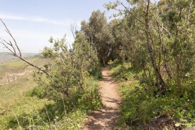 Yürüyüş yolu Kuzey İsrail 'deki Kuzey Celile' de bulunan El Al Ulusal Doğa Koruma Alanı 'ndan geçiyor.