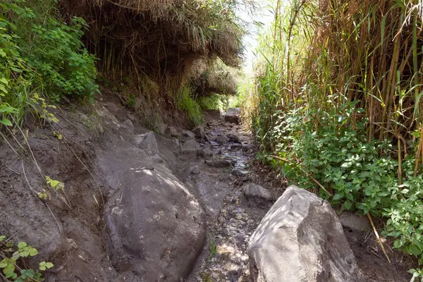 stock image The El Al stream flows in the El Al National Nature Reserve located in the northern Galilee in the North of Israel