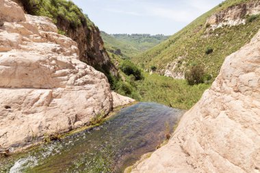 İsrail 'in kuzeyindeki Kuzey Celile' de bulunan El Al Ulusal Doğa Koruma Alanındaki Beyaz Şelalenin başlangıcı