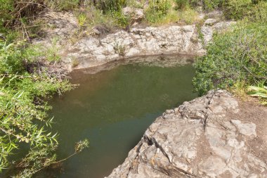 İsrail 'in kuzeyindeki Kuzey Celile' de El Al Ulusal Doğa Koruma Alanındaki küçük gölet.
