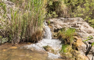 El Al nehrindeki küçük şelale İsrail 'in kuzeyindeki Kuzey Celile' de bulunan El Al Ulusal Doğa Rezervi 'nde akar.