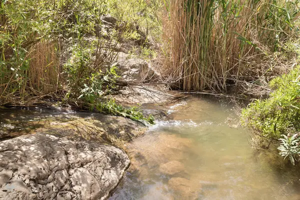 The El Al stream flows in the El Al National Nature Reserve located in the northern Galilee in the North of Israel