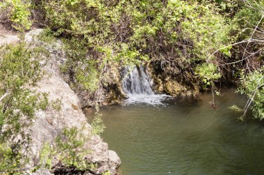 Kuzey İsrail 'deki Kuzey Celile' de bulunan El Al Ulusal Doğa Koruma Alanındaki küçük şelalenin yanındaki küçük göl.