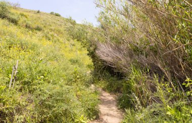 Yürüyüş yolu Kuzey İsrail 'deki Kuzey Celile' de bulunan El Al Ulusal Doğa Koruma Alanı 'ndan geçiyor.