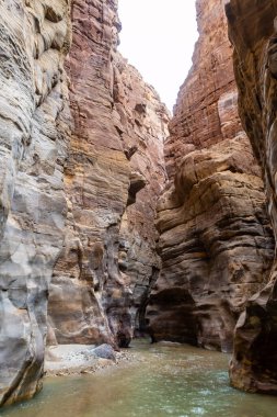 Sığ Mujib Nehri Ürdün 'deki Mujib Nehri Kanyonu' ndaki turizm rotası boyunca akar.