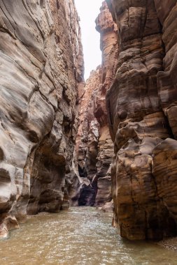 Sığ Mujib Nehri Ürdün 'deki Mujib Al Mujib Vadisi' ndeki Mujib Nehri Kanyonu boyunca yüksek dağlar arasında akan bir kanyondur.