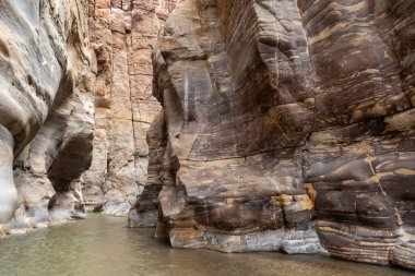 Sığ Mujib Nehri Ürdün 'deki Wadi Al Mujib' de Mujib Nehri Kanyonu yürüyüş yolunun başlangıcında akar.
