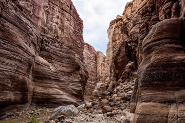 A small shallow stream flows between high rocks with beautiful natural patterns on their walls along a walking trail in the Wadi Numeira gorge in Jordan