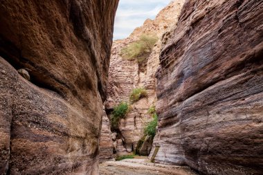A small shallow stream flows between high rocks with beautiful natural patterns on their walls along hilking trail in the Wadi Numeira gorge in Jordan