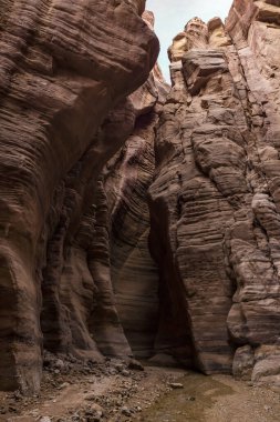 A shallow stream flows between rocks painted with beautiful natural patterns along a hilking trail in the Wadi Numeira gorge in Jordan