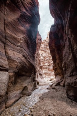 A small shallow stream flows between high rocks with intricate natural patterns on their walls along hiking trail in Wadi Numeira gorge in Jordan