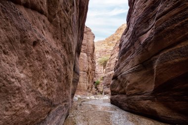 Ürdün 'deki Wadi Numeira vadisi boyunca duvarlarında güzel doğal desenler olan yüksek kayaların arasından küçük sığ bir dere akar.