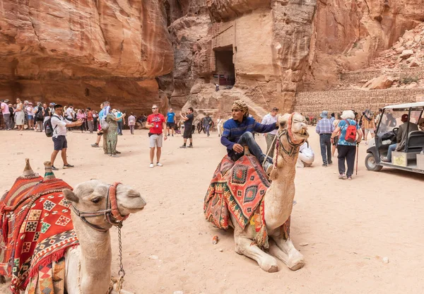 Vadi Musa, Ürdün, 05 Ekim 2023: Camel ve sürücüleri Ürdün 'deki Wadi Musa kentindeki Nabatean Krallığı' nda bir Nabatean tapınağı olan El Khazneh 'in önündeki meydanda dinleniyorlar.