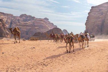 Amman, Jordan, Ekim 06, 2023: Ürdün 'de Amman yakınlarındaki Wadi Rum' un kırmızı çölünde büyük bir deve kervanının başındaki bir Bedevi, deveye biniyor.