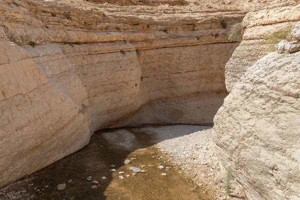 Vadi El Ghuwayr ya da An Nakhil ve Ürdün 'deki Amman yakınlarındaki Vadi Al Dathneh' in turizm rotasının başlangıcı.