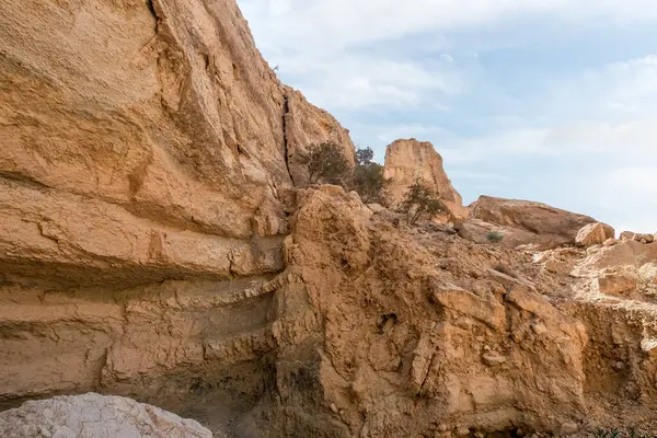 Vadi El Ghuwayr ya da An Nakhil ve Ürdün 'deki Amman yakınlarındaki Vadi Al Dathneh' in turistik rotasının başlangıcında doğanın güzelliği