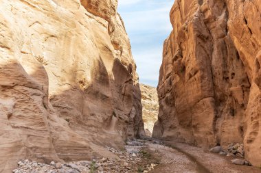 Vadi El Ghuwayr ya da An Nakhil ve Ürdün 'deki Amman yakınlarındaki Vadi Al Dathneh' in turizm rotasının başında yüksek dağların arasında asla kurumayan küçük bir dere.