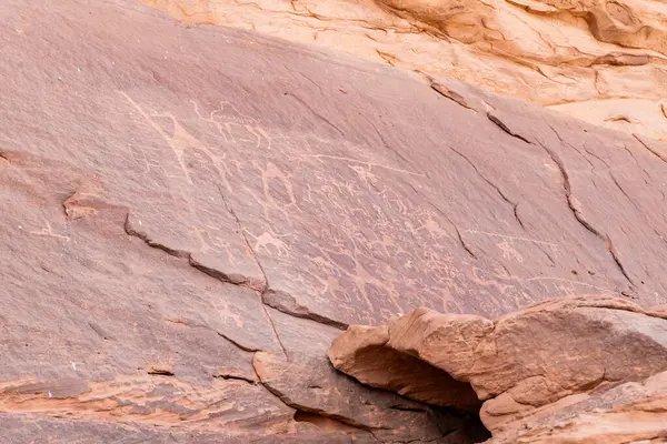 Ancient  drawings of animals and life scenes carved into stone on the rock wall in the endless sandy red desert of the Wadi Rum near Amman in Jordan