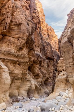 Vadi El Ghuwayr ya da An Nakhil ve Ürdün 'deki Amman yakınlarındaki Vadi Al Dathneh' in turizm rotasındaki yüksek dağların olağanüstü güzelliği.