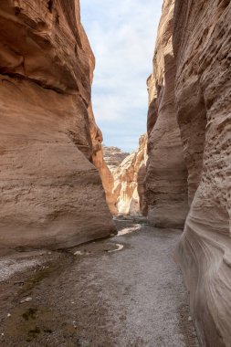 Vadi El Ghuwayr ya da An Nakhil ve Ürdün 'deki Amman yakınlarındaki Vadi Al Dathneh' in turistik rotasında kuruyan bir dere.