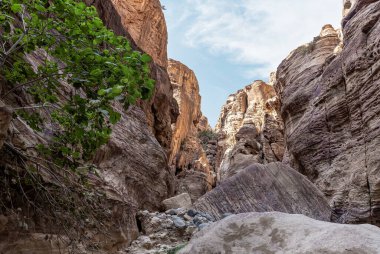 Vadi El Ghuwayr ya da An Nakhil ve Ürdün 'deki Amman yakınlarındaki Vadi Al Dathneh' te yüksek dağlar yükselir.