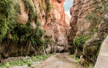 Yüksek dağ yamaçları sığ derenin her iki tarafındaki yeşil bitkilerle kaplı. Vadi El Ghuwayr ya da An Nakhil ve Ürdün 'deki Amman yakınlarındaki vadi Al Dathneh.