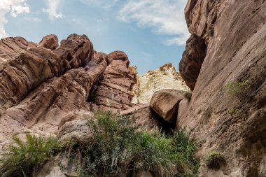 Dağın yüksek yamaçları sığ derenin her iki tarafında yeşil bitkilerle kaplı. Vadi El Ghuwayr ya da An Nakhil ve Ürdün 'deki Amman yakınlarındaki Vadi Al Dathneh' de.