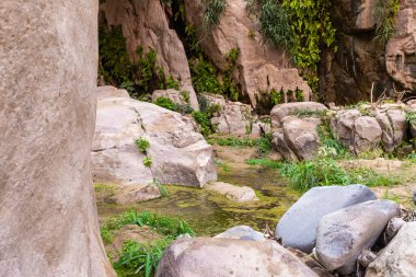 Vadi El Ghuwayr ya da An Nakhil ve Ürdün 'deki Amman yakınlarındaki Vadi Al Dathneh vadisinde sığ derenin yolunda duran küçük bir göl.