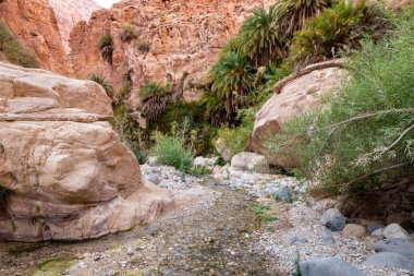 Vadi El Ghuwayr ya da An Nakhil ve Ürdün 'deki Amman yakınlarındaki Vadi Al Dathneh vadisi arasında sığ bir dağ deresi akar.