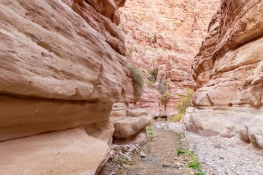 Vadi El Ghuwayr ya da An Nakhil ve Ürdün 'deki Amman yakınlarındaki Vadi Al Dathneh vadisi arasında sığ bir dağ deresi akar.