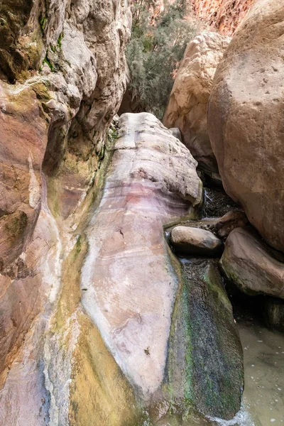 Rock  creating a natural dam in the path of the shallow stream in the gorge Wadi Al Ghuwayr or An Nakhil and the wadi Al Dathneh near Amman in Jordan