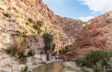Vadi El Ghuwayr ya da An Nakhil ve Ürdün 'deki Amman yakınlarındaki Vadi El-Dathneh vadisindeki yeşilliklerle kaplı bankalar arasında dar ve sığ nehirler akıyor.