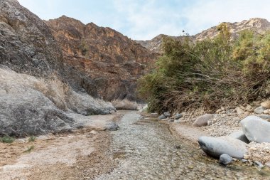 Vadi El Ghuwayr ya da An Nakhil ve Ürdün 'deki Amman yakınlarındaki Vadi Al Dathneh vadisindeki yemyeşil alanlar arasında sığ nehir kıvrımları.