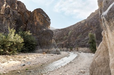 Vadi El-Ghuwayr ya da An Nakhil ve Ürdün 'deki Amman yakınlarındaki vadi El-Dathneh vadisindeki dağ nehirlerinin tuhaf kıvrımları.