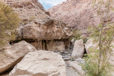 Vadi El Ghuwayr ya da An Nakhil ve Ürdün 'deki Amman yakınlarındaki Vadi Al Dathneh vadisindeki sığ derenin yolundaki dağların tuhaf ihtişamı.
