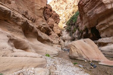 Dağların güzel görkemi sığ derenin yolundaki vadide Wadi Al Ghuwayr ya da An Nakhil ve Ürdün 'deki Amman yakınlarındaki vadi Al Dathneh' de.